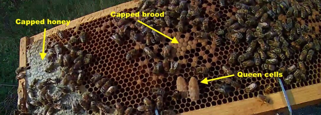 Screenshot from the inspection video montage