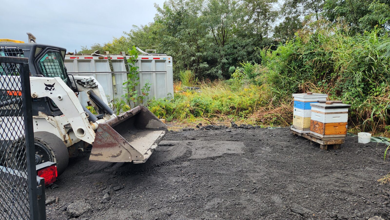 Spreading gravel over the bee yard with a skid steer loader